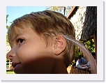 At_the _zoo (38) * 2048 x 1536 * (1.34MB)